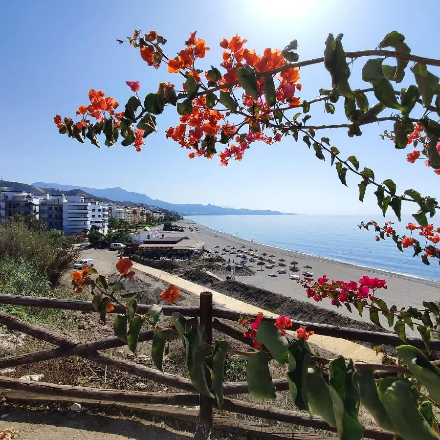 Villa Delicia Torrox